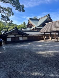 🎉 初日から“完売”宣言‼ 🎉