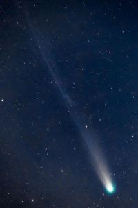 レモン彗星みたいに、爽やかに🌙🍋