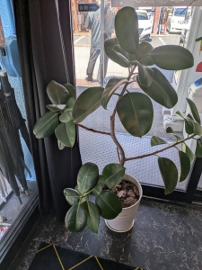 あなたの全力応援します!